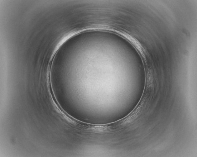X0000116561390200912101440