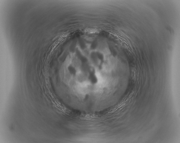 X0000116561393200912101440