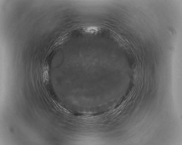 X0000116561394200912101440