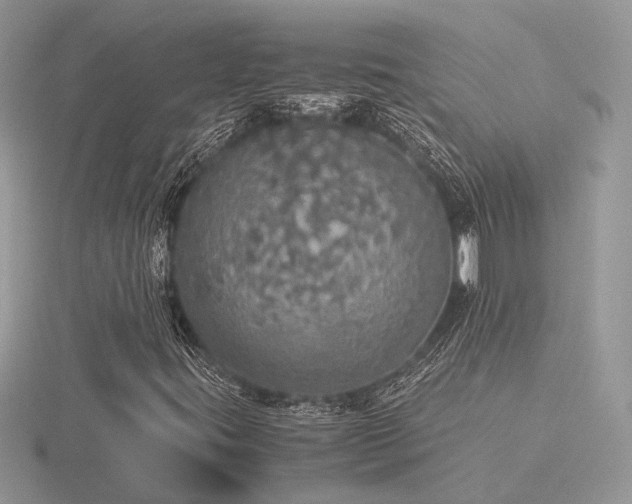 X0000116561395200912101440