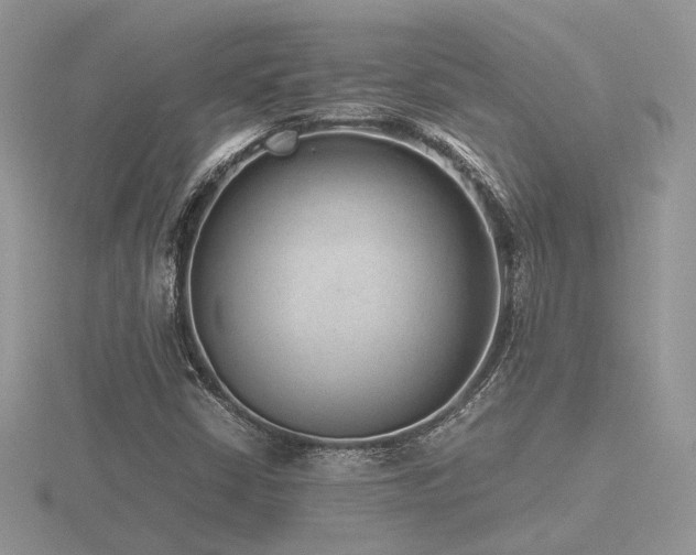 X0000116561402200912101440