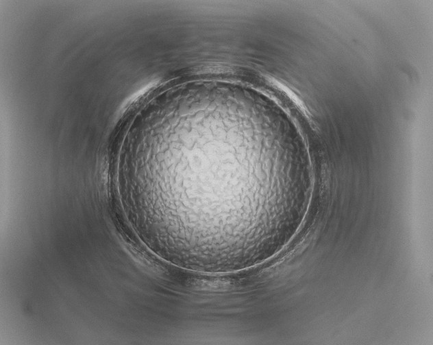 X0000116561403200912101440
