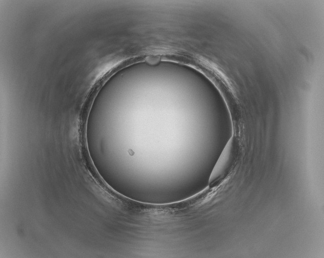X0000116561404200912101440