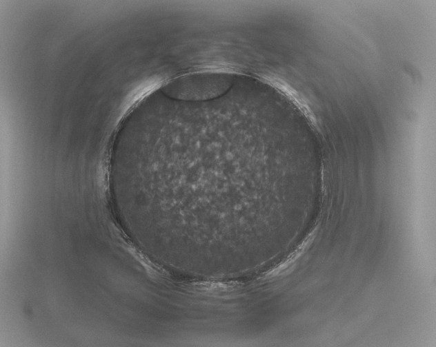 X0000116561405200912101440
