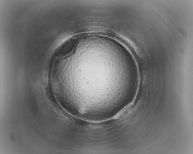 X0000116561407200912101440