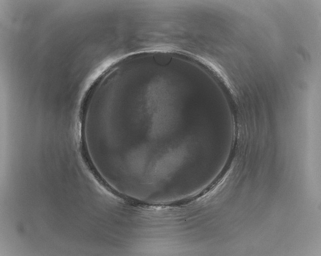X0000116561414200912101440