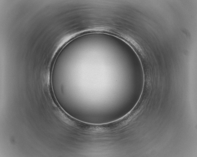 X0000116561420200912101440