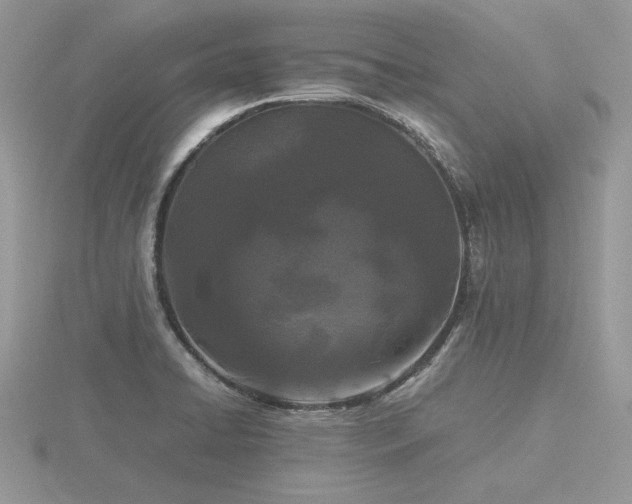 X0000116561422200912101440