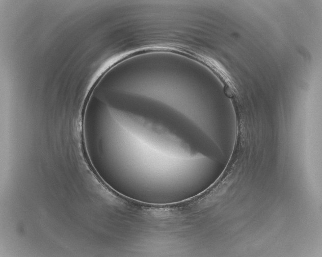 X0000116561428200912101440