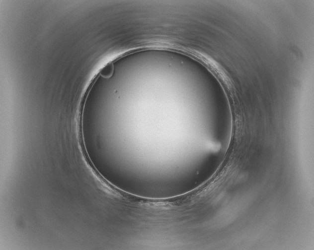 X0000116561432200912101440