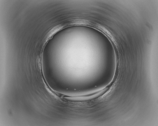 X0000116561433200912101440