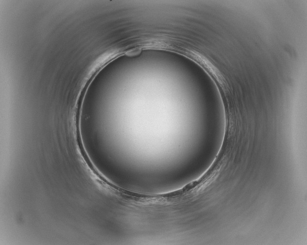 X0000116561434200912101440