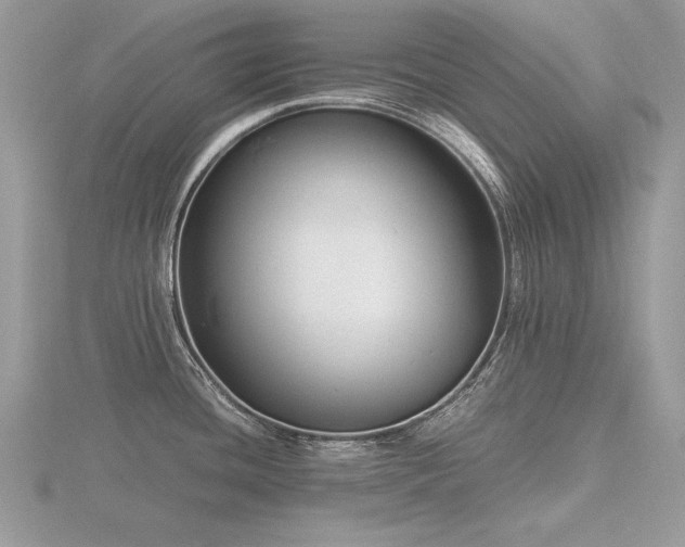 X0000116561436200912101440