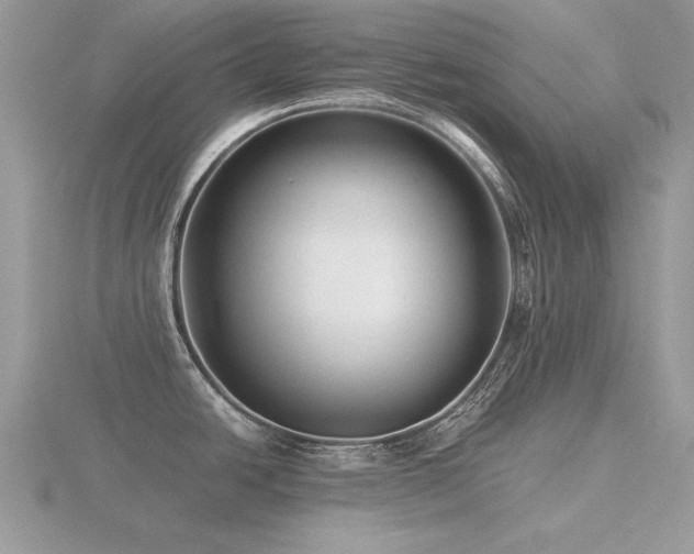 X0000116561438200912101440