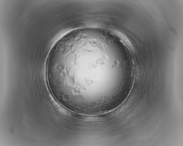 X0000116561439200912101440