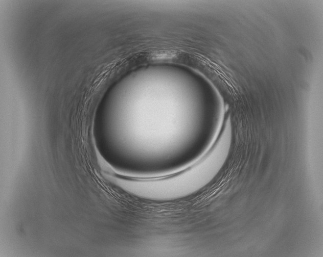 X0000116561441200912101440