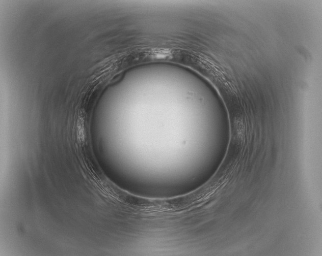 X0000116561442200912101440