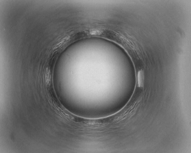 X0000116561443200912101440