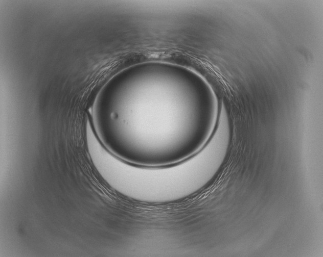 X0000116561444200912101440