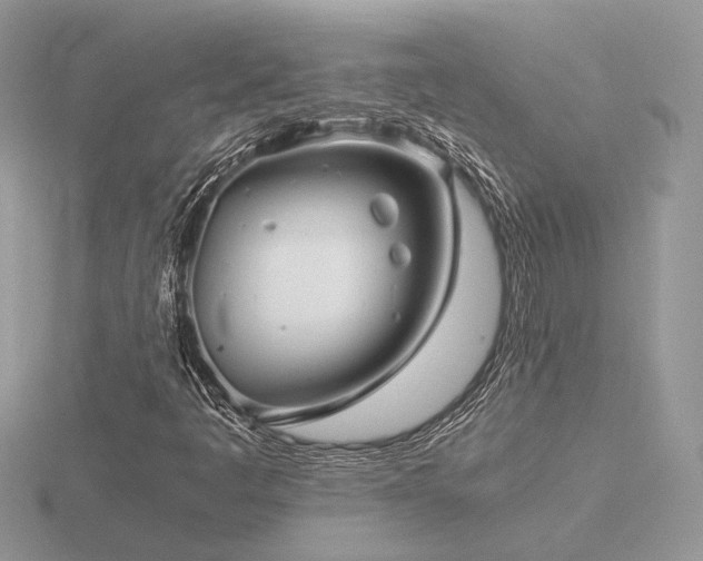 X0000116561445200912101440