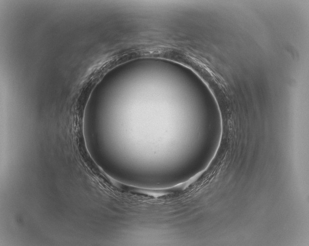 X0000116561447200912101440
