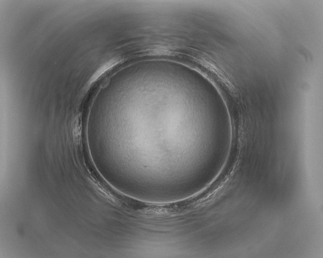 X0000116561450200912101440