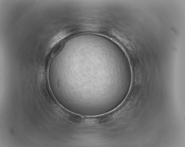X0000116561453200912101439