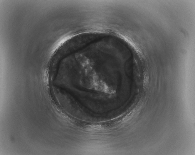 X0000116561455200912101439
