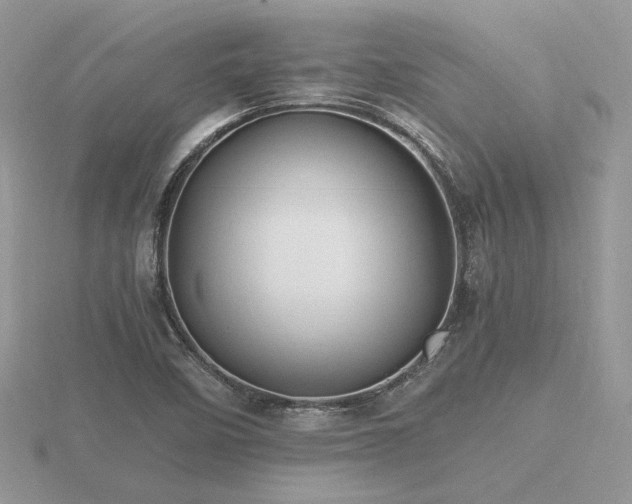 X0000116561458200912101439