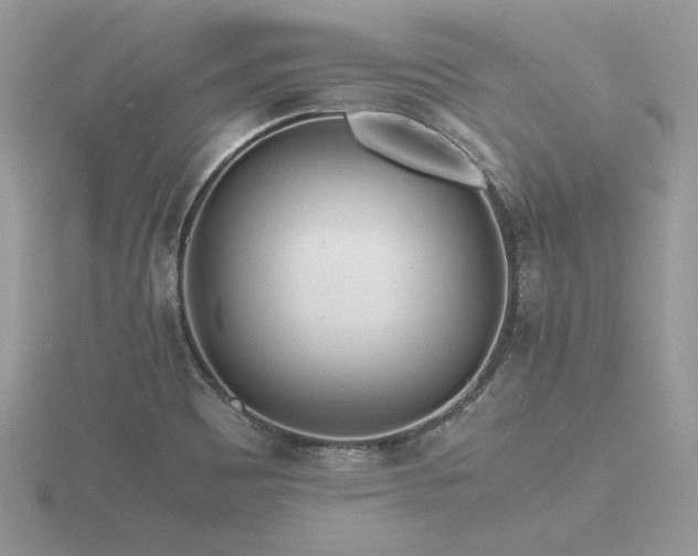 X0000116561465200912101439