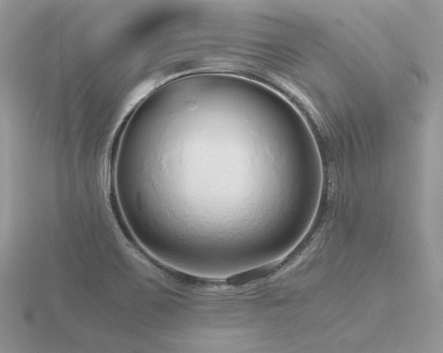 X0000116561467200912101439