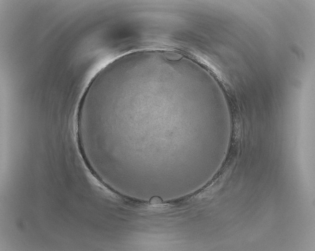 X0000116561471200912101439