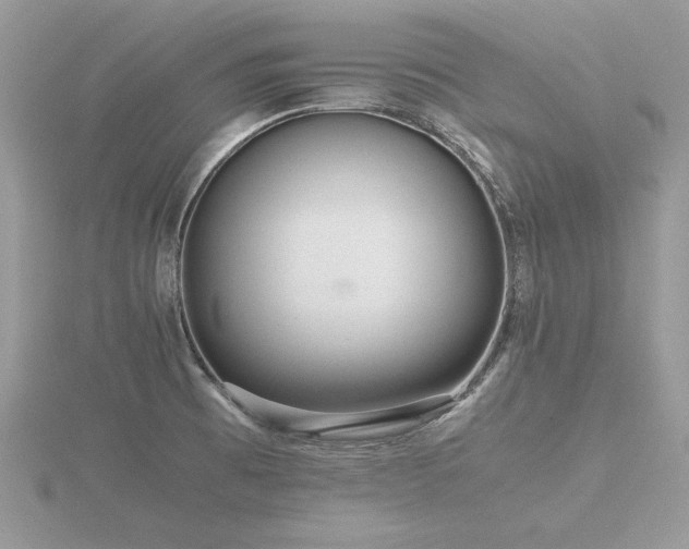 X0000116561473200912101439