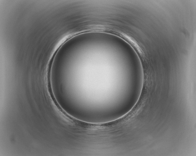 X0000116561475200912101439