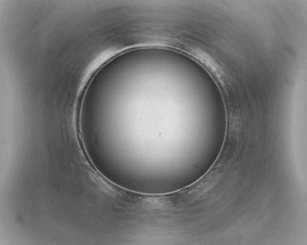 X0000116561480200912101439