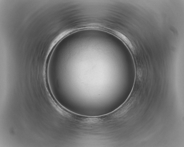 X0000116561482200912101439
