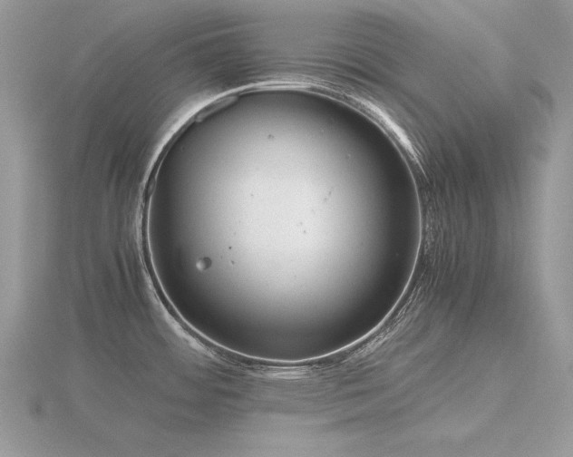 X0000116561484200912101439