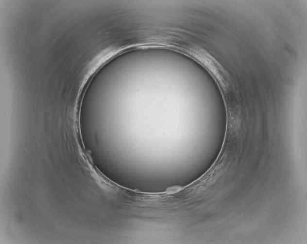 X0000116561485200912101439