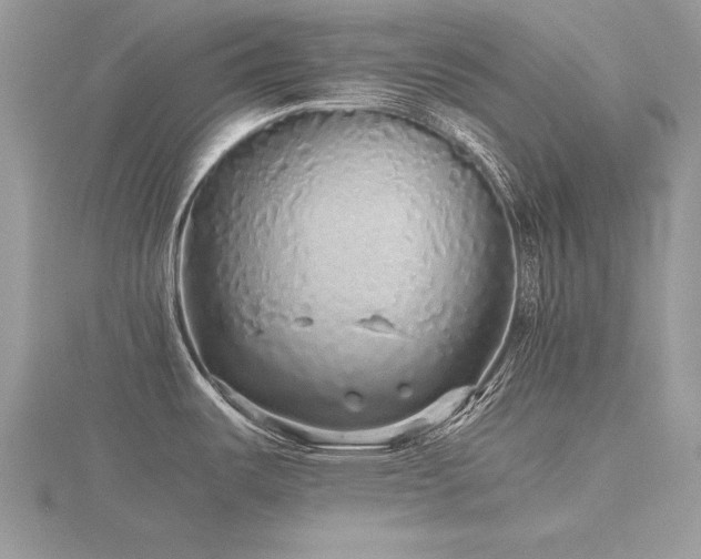 X0000116561487200912101439