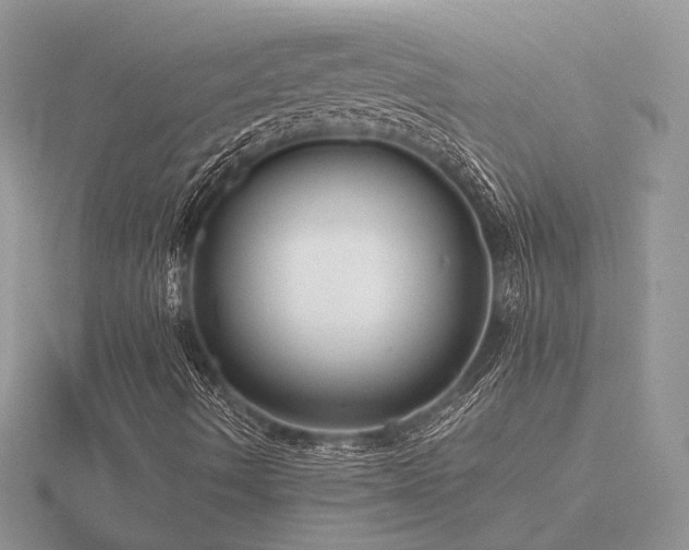 X0000116561490200912101438