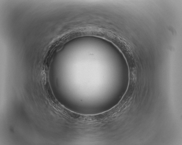 X0000116561493200912101438