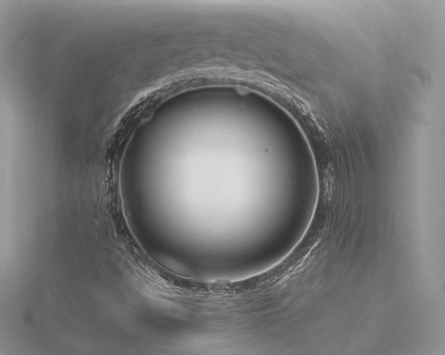 X0000116561494200912101438