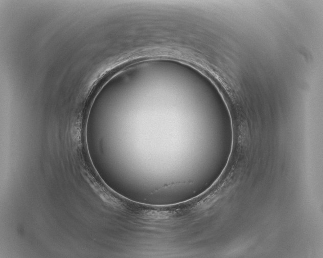 X0000116561499200912101438
