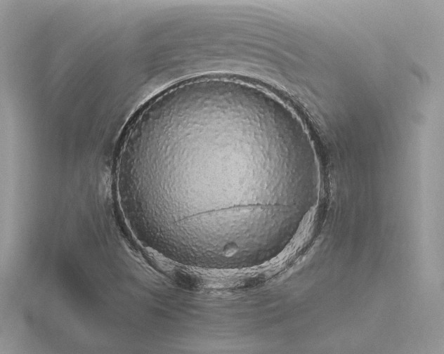 X0000116561505200912101439