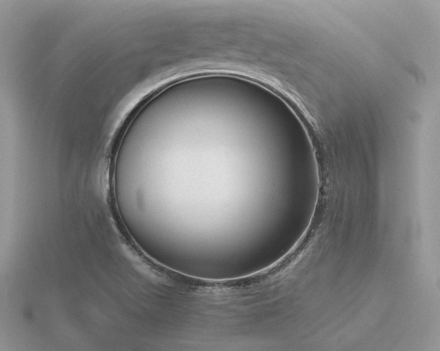 X0000116561511200912101439