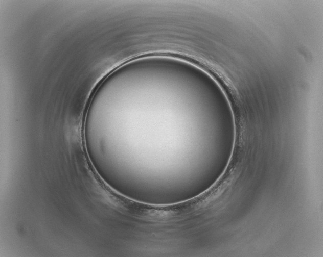 X0000116561513200912101439