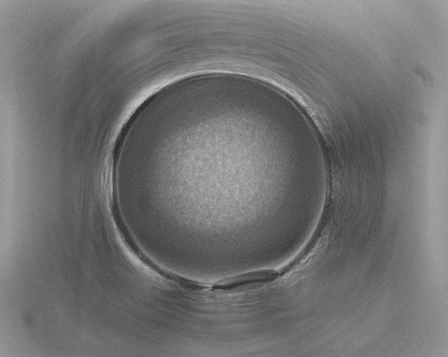 X0000116561515200912101439