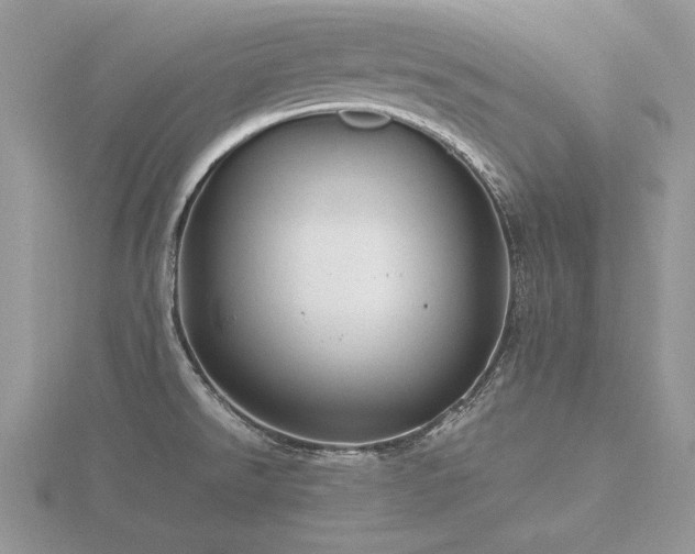 X0000116561526200912101439