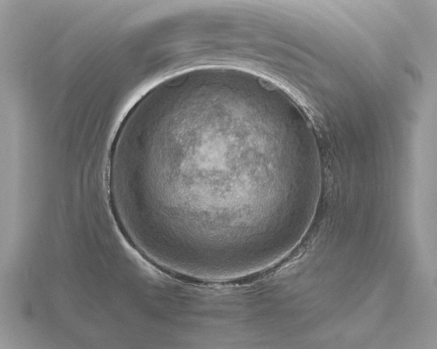 X0000116561527200912101439