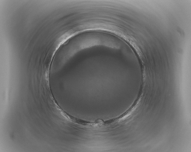 X0000116561529200912101439